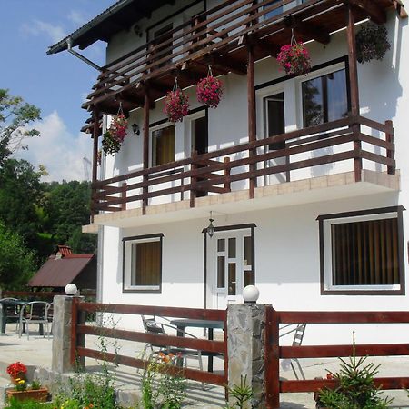 Vila Doina Branului Бран Экстерьер фото