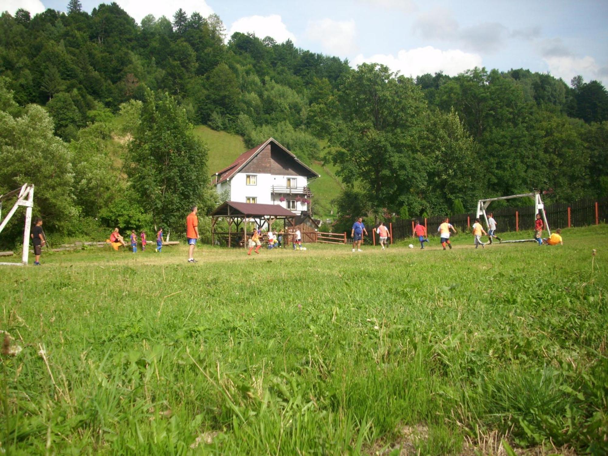 Vila Doina Branului Бран Экстерьер фото