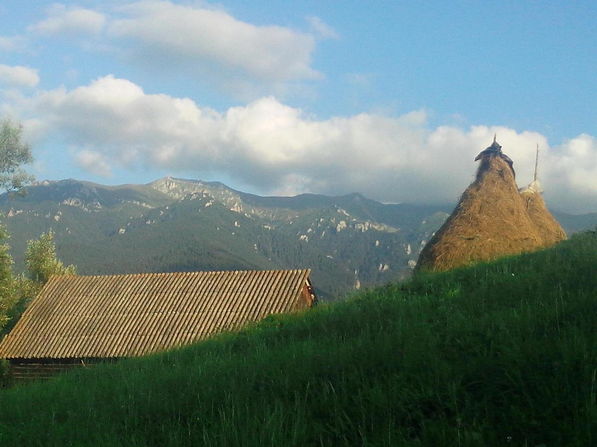 Vila Doina Branului Бран Экстерьер фото